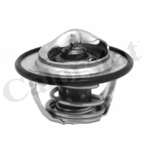 Wyjątkowa oferta Termostat, płyn chłodzący CALORSTAT BY VERNET TH7130.82J